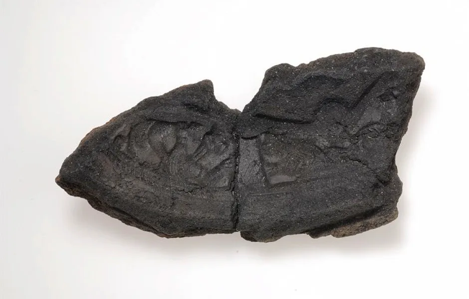 Del av en fjurform från en oval spännbuckla