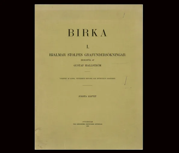 Omslag av arkeologisk rapport