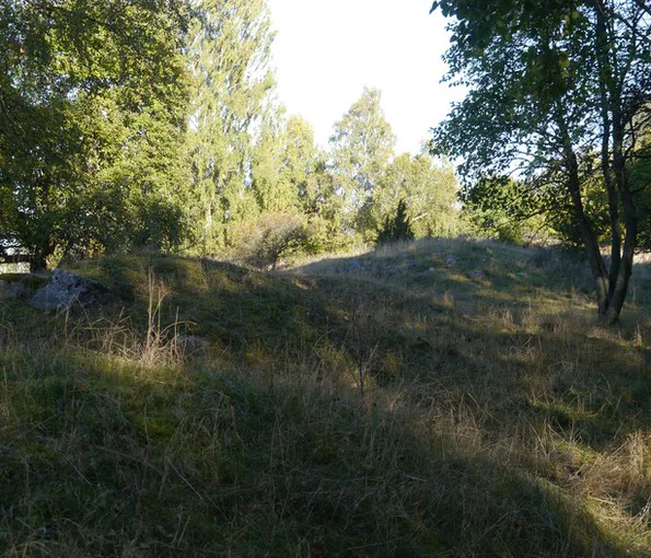 mindre högar med träd i bakgrunden