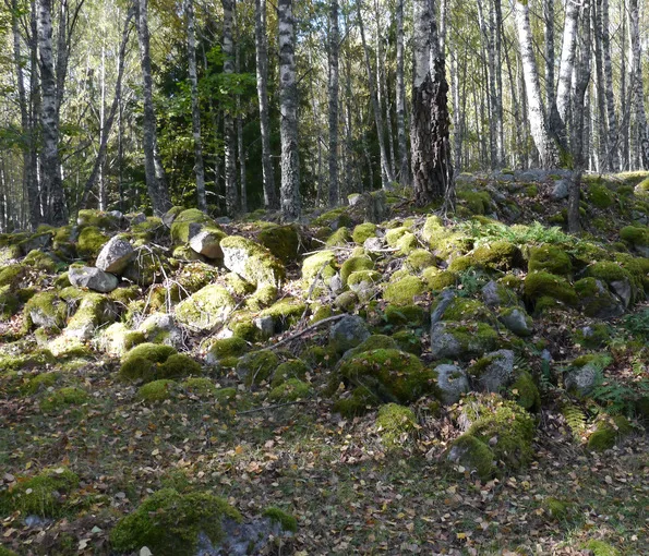 mindre högar med träd i bakgrunden