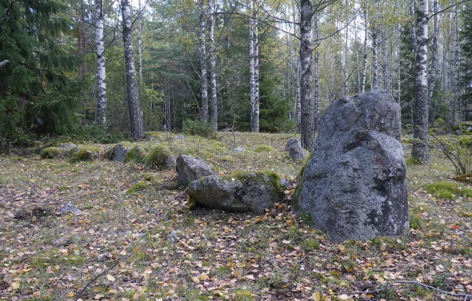 sten-lämningar i en skog