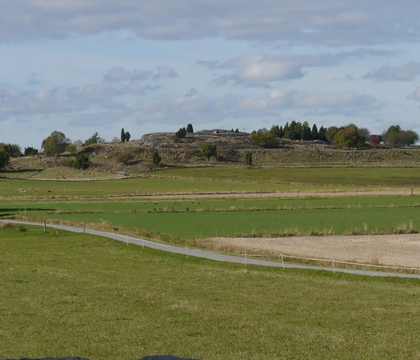 fält med gravkullar