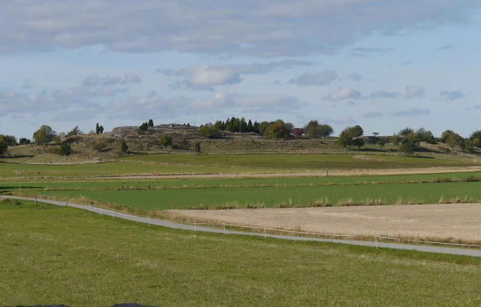 ett öppet fält med gravkullar i horisonten
