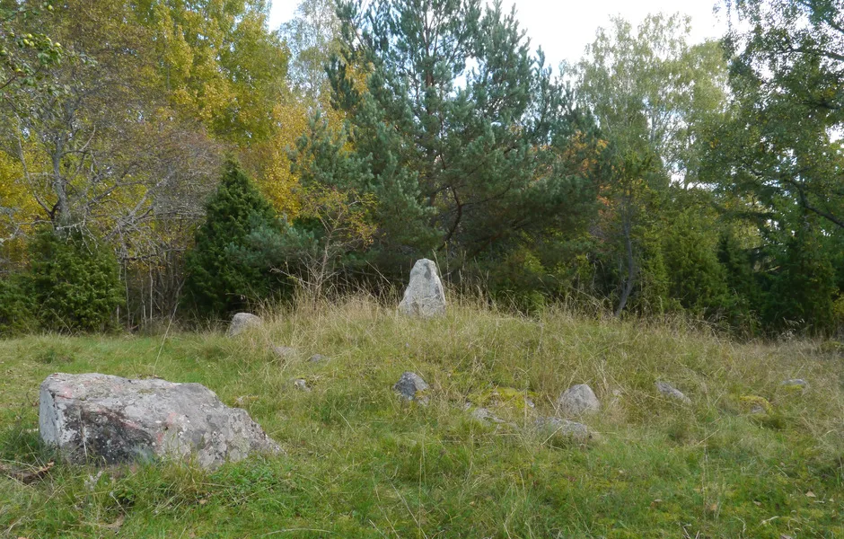 Ett par av de mindre gravhögarna på Ormknös har även merkarats med resta stenar. Foto: Jonathan Olsson/SHM
