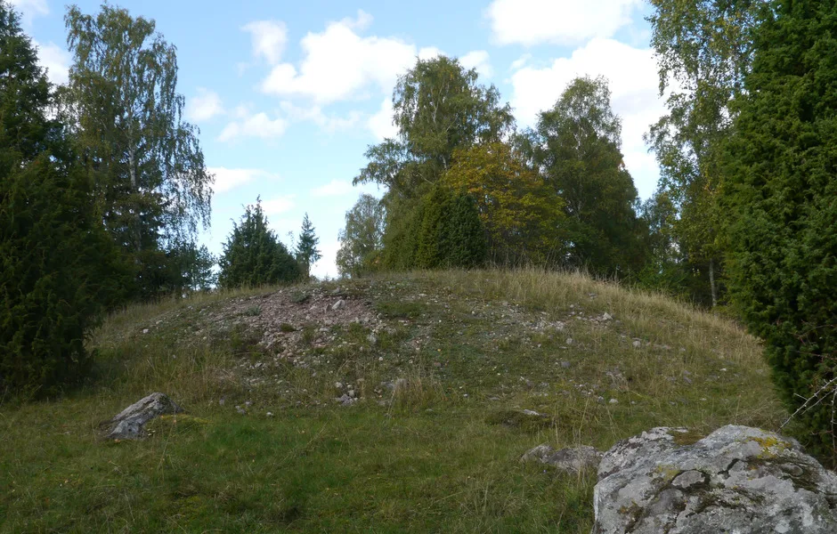 Gravhög med träd uppstickandes i bakgrunden