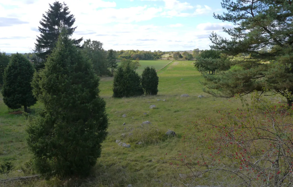 sluttning som leder till ett öppen fält