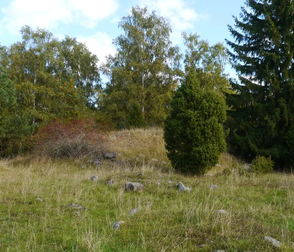 mindre högar med träd i bakgrunden