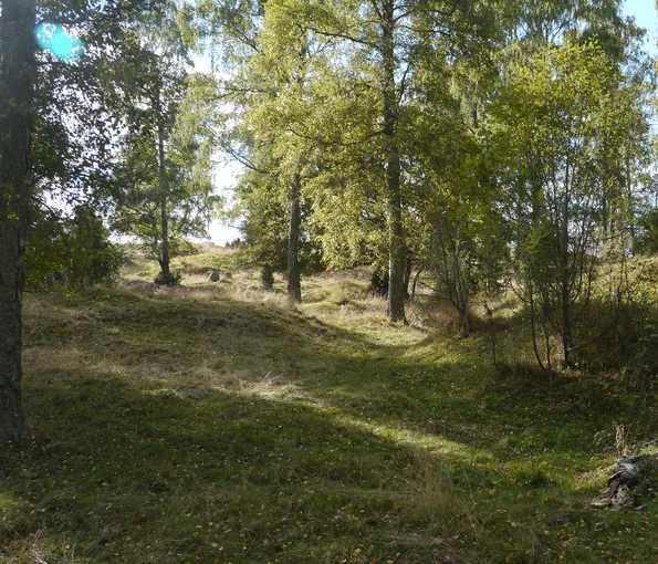 foto av sluttning med träd