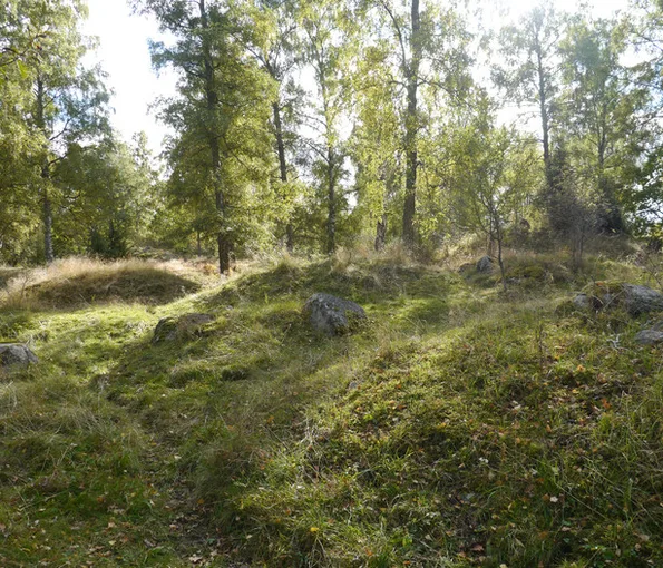 mindre högar med träd i bakgrunden
