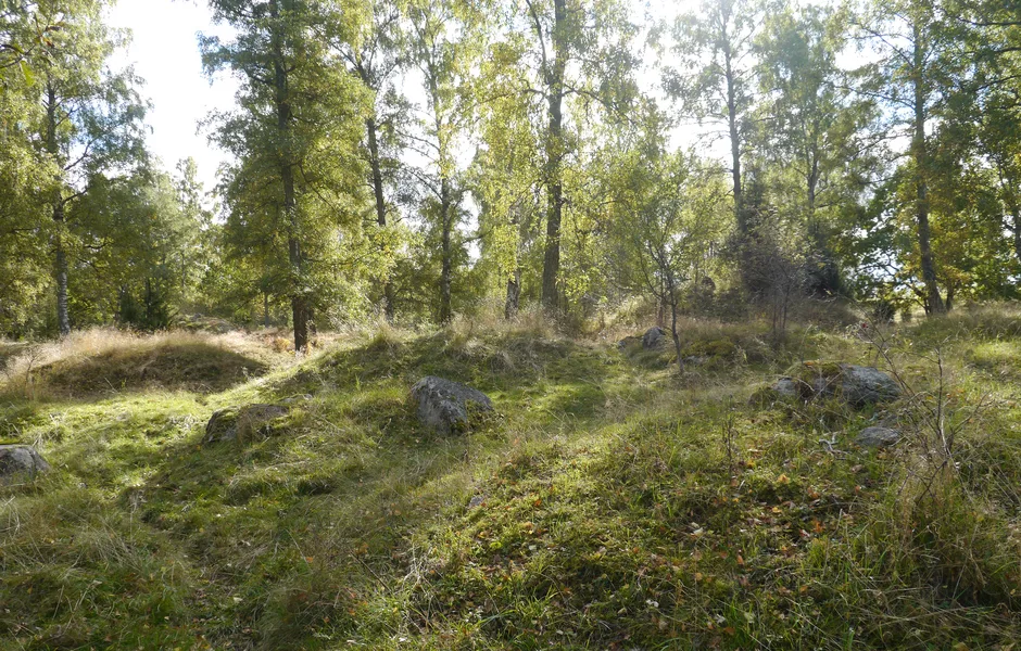 Mindre gravhögar med träd i bakgrunden