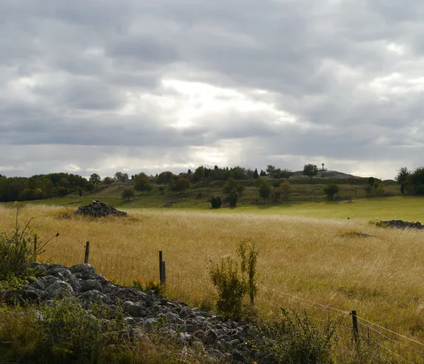 vy över fält med grönska