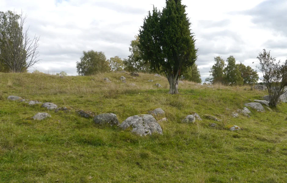 Stenlämningar på ett fält