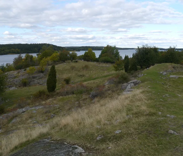 sluttning med träd och vatten i bakgrunden