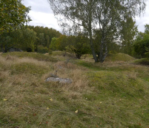 mindre högar med träd i bakgrunden