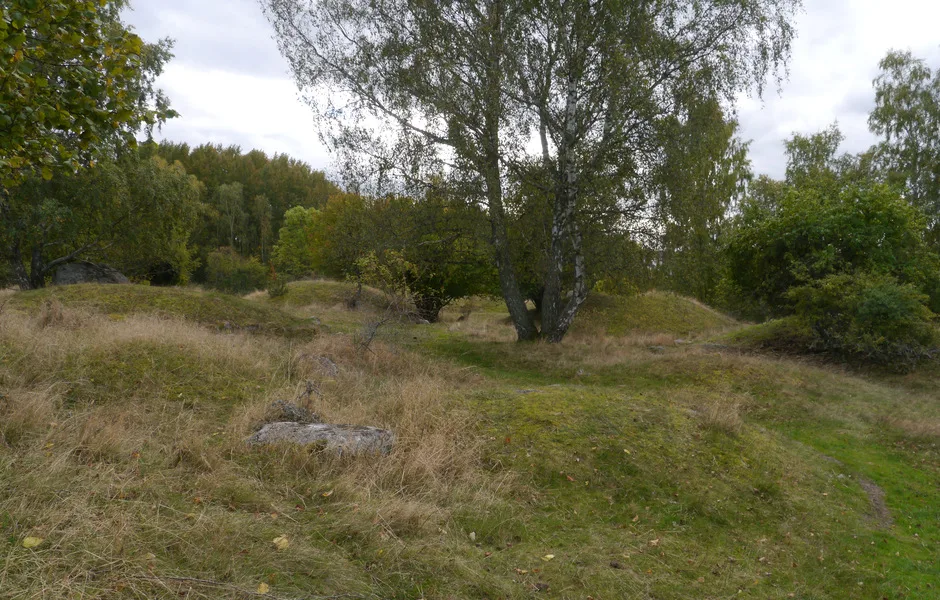 Fält med gravhögar omringade av träd