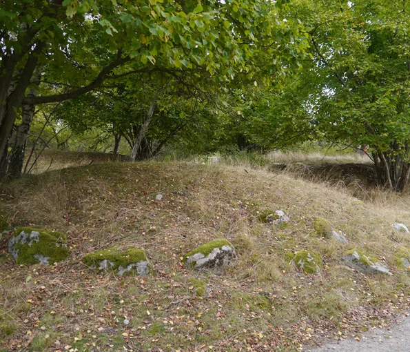 Hög täckte med löv i en skog