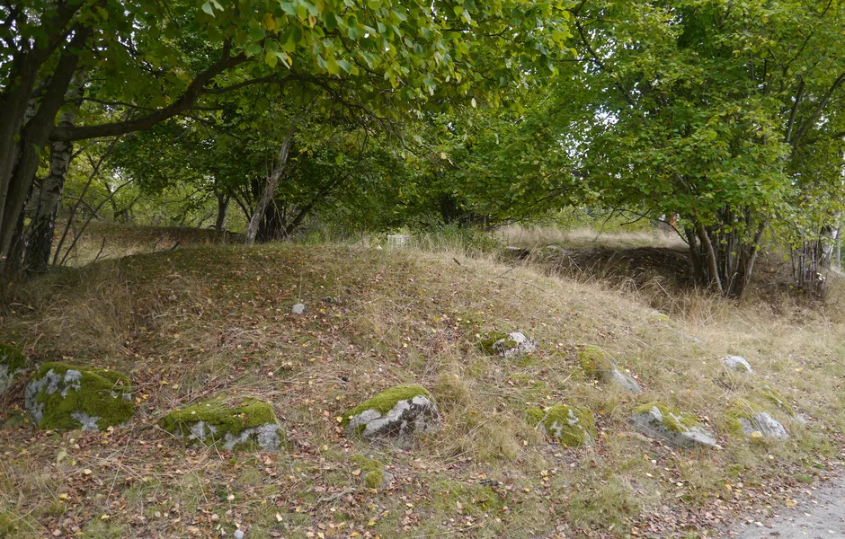 gravfält omringat av träd och buskage