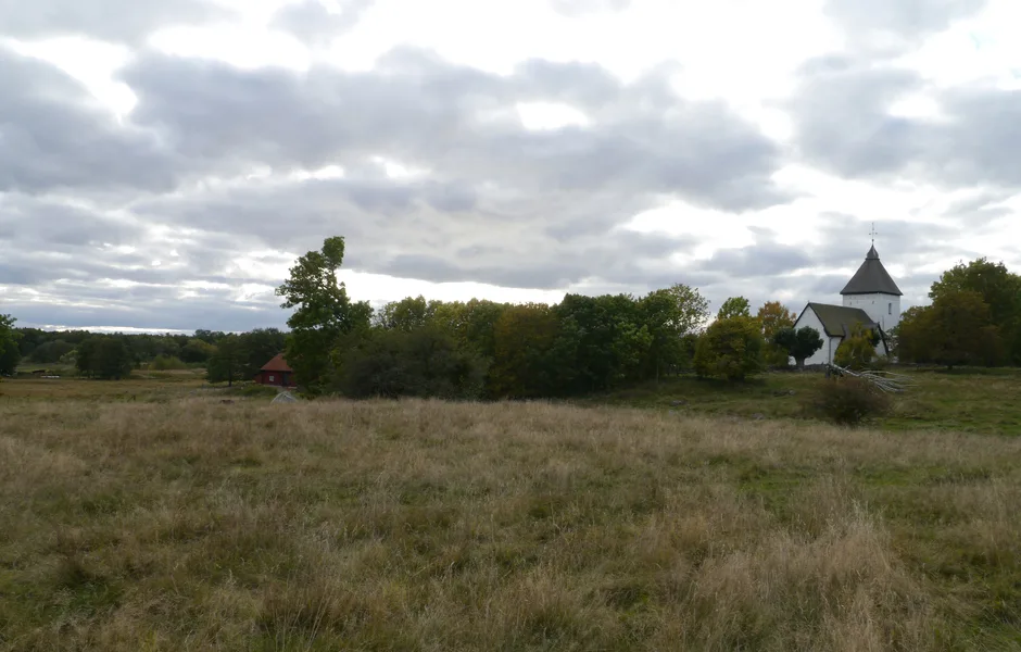 fält med trädlinje och kyrka i bakgrunden