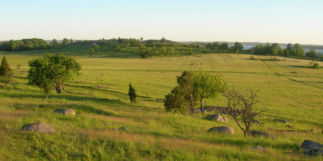 vy över ett stort fält