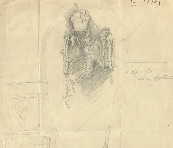 ritning av mänskligt skelett