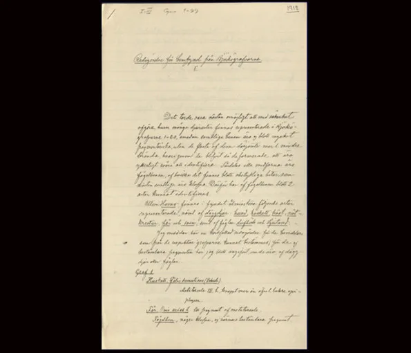 Omslag av en arkeologisk rapport