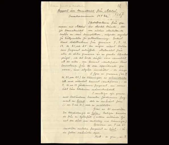 Omslag av en arkeologisk rapport