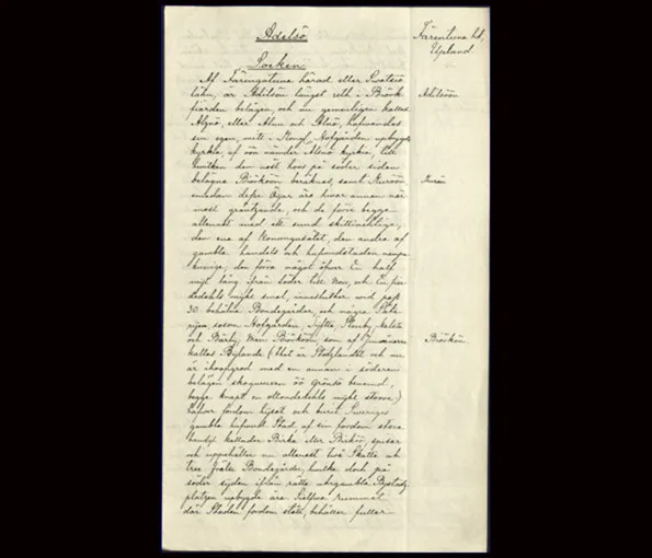 Gammalt dokument med text