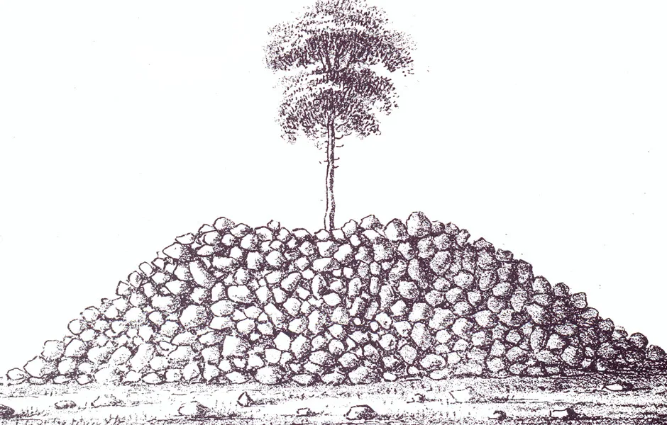 Ritning av träd ståendes på en hög med stenar